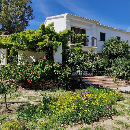 Cortijo Nerja Artist Paradise Екстер'єр фото
