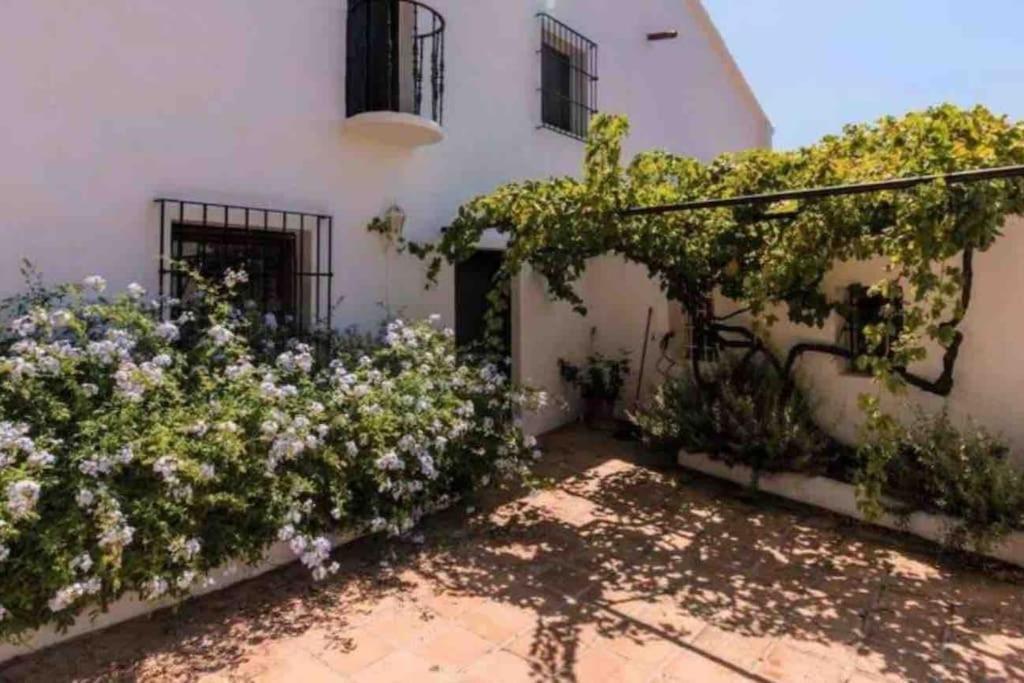 Cortijo Nerja Artist Paradise Екстер'єр фото