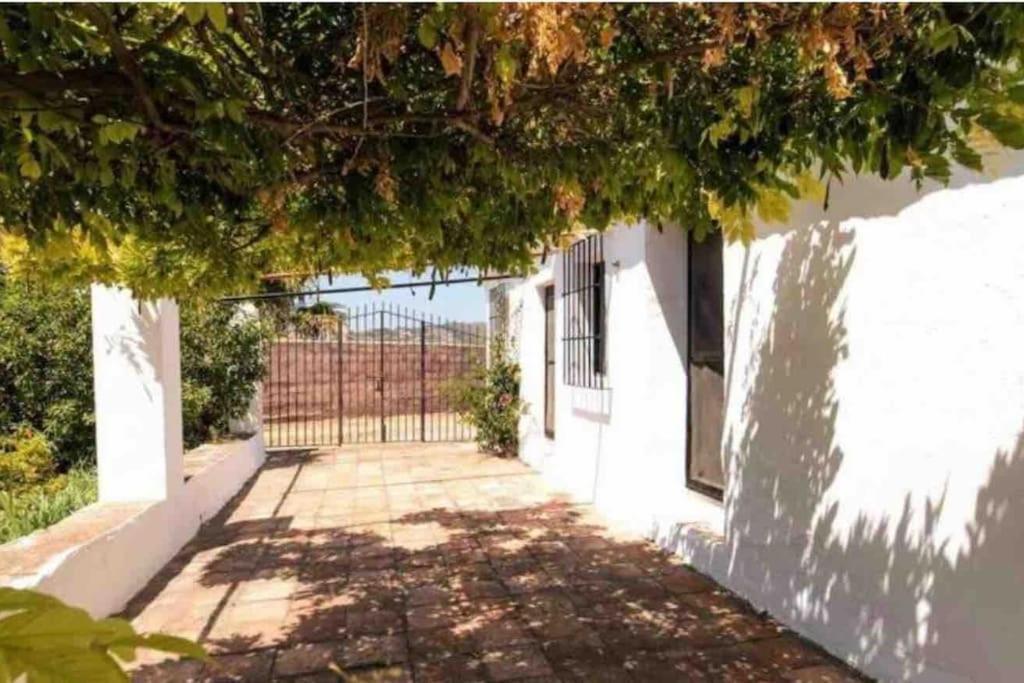 Cortijo Nerja Artist Paradise Екстер'єр фото