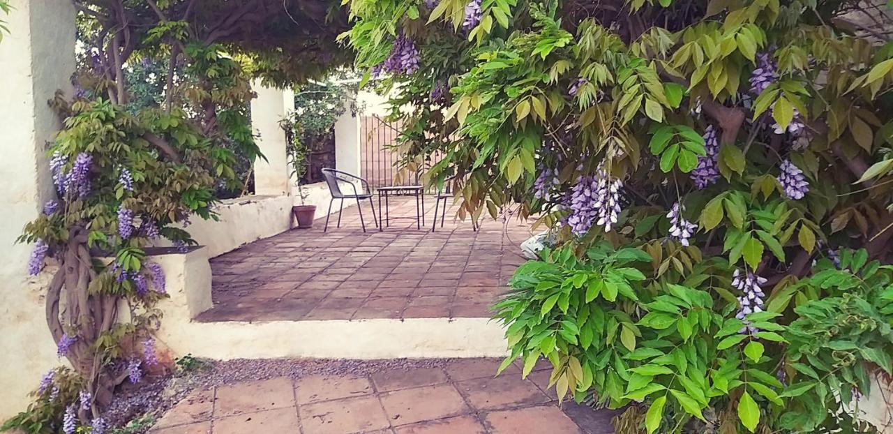Cortijo Nerja Artist Paradise Екстер'єр фото