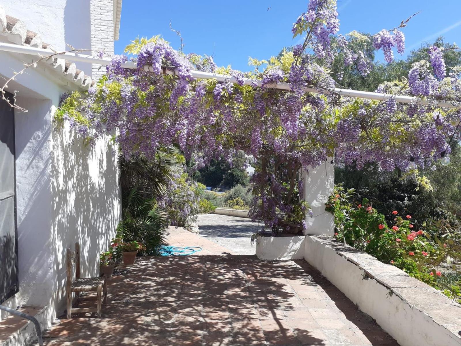 Cortijo Nerja Artist Paradise Екстер'єр фото