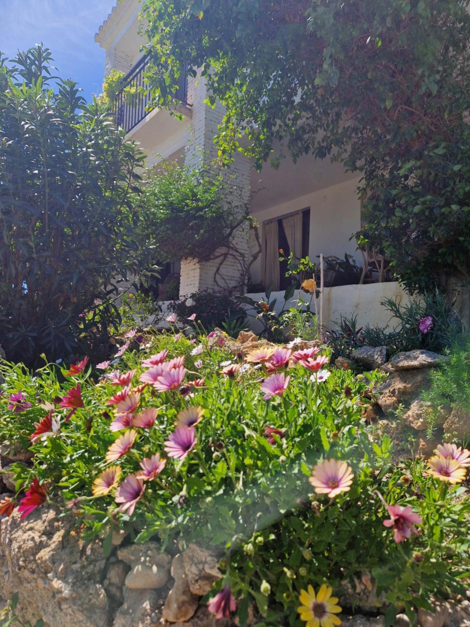 Cortijo Nerja Artist Paradise Екстер'єр фото