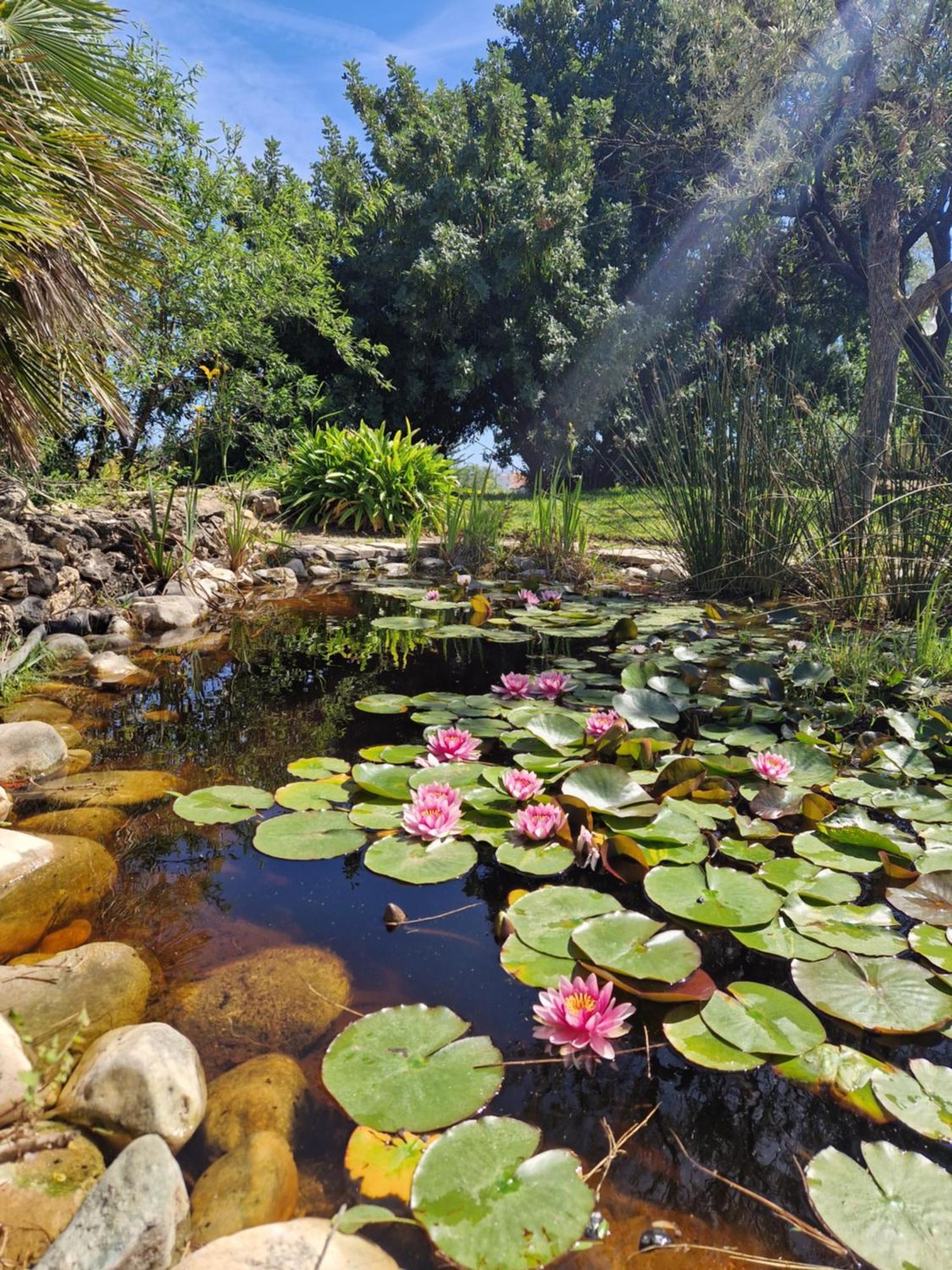 Cortijo Nerja Artist Paradise Екстер'єр фото